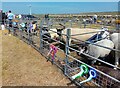 Livestock at Latheron Show