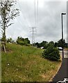 Towards an electricity pylon, The Maltings, Llantarnam, Cwmbran