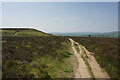 SE1246 : Path on Ilkley Moor by Bill Boaden