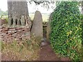 Stone Stile, Winterbourne