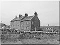 Houses, Hynish