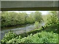 River Severn under Cambrian Way bridge