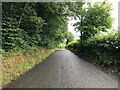 Road towards Llansilin