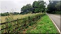 Field and copse on south side of Stainby Road