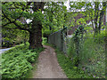 Coleford Link cycle trail, Parkend