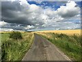 Minor road near Ruthwell