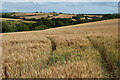 Farmland, Ladock