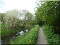 Montgomery Canal north of Llwynderw