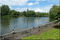 TQ2876 : Lake in Battersea Park by DS Pugh
