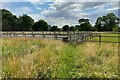 Path into Roe Green by the equine excersise yard