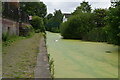 Eutrophic Manchester, Bolton & Bury Canal