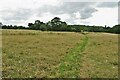 Chain Walk footpath to Roe Green