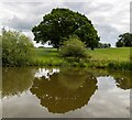 Macclesfield Canal