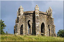 N2130 : Ballycumber House folly tower, Ballycumber, Co. Offaly (4) by Mike Searle