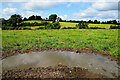 Muddy entrance to field, Tullycorker