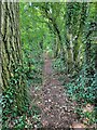 TL3234 : Tree lined footpath out of Sandon by Philip Jeffrey
