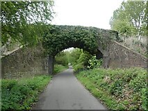 SJ3369 : Bridge over cycle route (NCN5) near Old Marsh Farm by David Smith