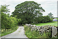 Access road for Langerton Farm