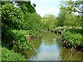 River Stour south of Kidderminster in Worcestershire