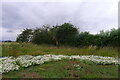 Mayweed and waymarker in the corner of a field