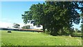 Trees, field and sheds at Rosedale Farm