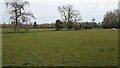 Fields south of Chelsworth