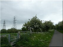 SJ3069 : Footpath sign by NCN5 beside Wepre Gutter by David Smith