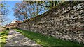 Roman City Wall, Colchester