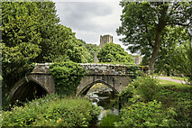 SE2768 : Mill Bridge at Fountains Abbey by Trevor Littlewood