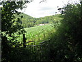 Llwybr i Felin y Cwm / Path to Coomb Mill