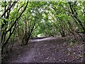 Path on reclaimed land