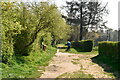 Footpath off Farm Lane