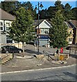 Trees on a Newbridge corner