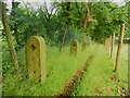 Stone fence posts alongside Footpath 194/2