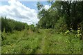 Path near Bootham Stray