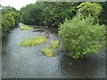 River Kelvin