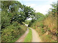 Llwybr yn agosau at yr heol / Path approaching the road