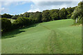 Pasture, Little Missenden