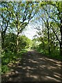 A straight stretch of the Wirral Way south of Willaston