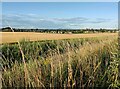 Farmland on the edge of Kidderminster