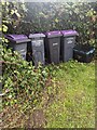 Purple-lidded wheelie bins, Church Road, Llanfrechfa, Torfaen