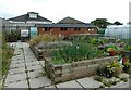 Community garden, Melfort Park