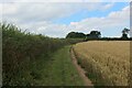 Footpath Running Parallel to Sandy Bank