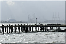 SU4110 : Remains of the Royal Pier, Southampton by David Martin