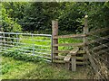 Footpath stile and gate