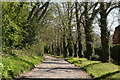 Path to East Chiltington