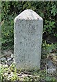 SU8972 : Old Milestone by the B3022, Maiden's Green by Andrew Radgick