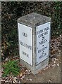 Old Milestone by the A3095, Newell Green