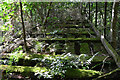 Decaying remains of footbridge, Stobs