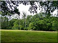 Barn Meadow